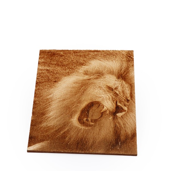 fotografija leva na lesu