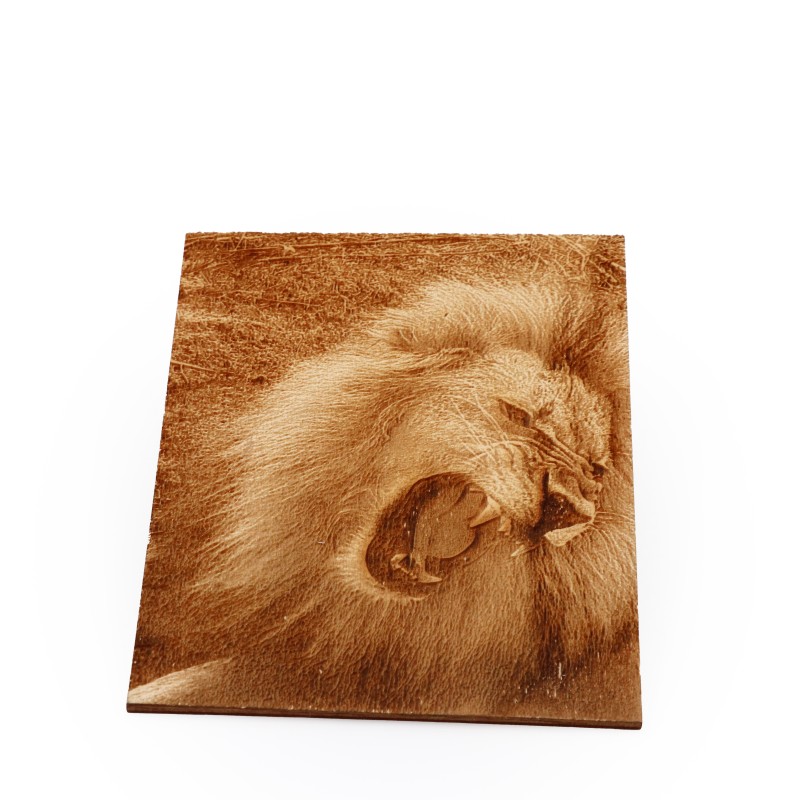 fotografija leva na lesu